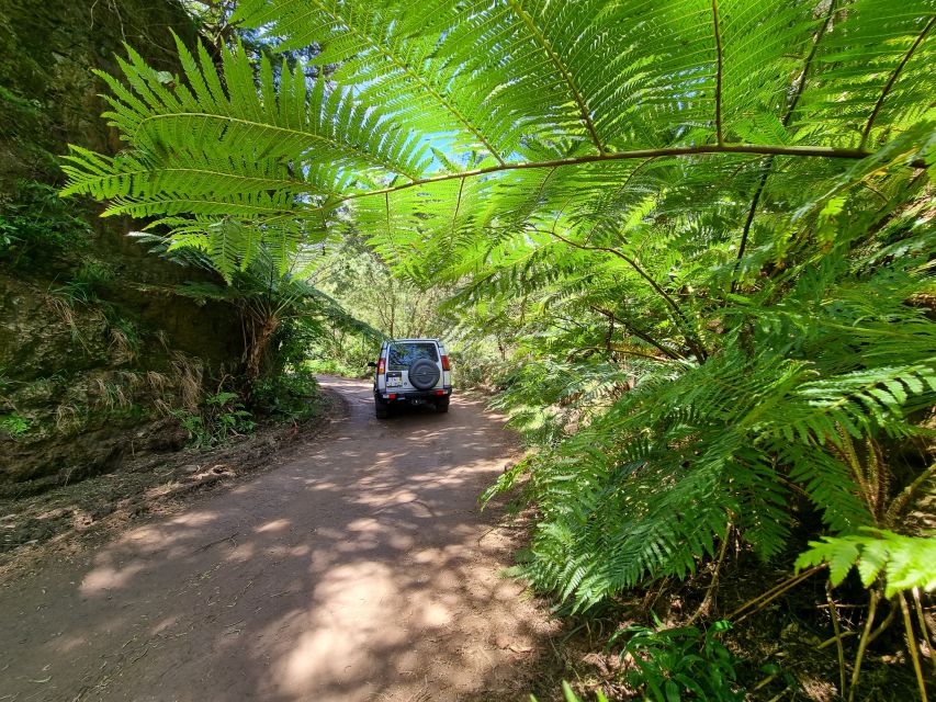 Madeira: Picturesque Peaks and Skywalk Private 4x4 Jeep Tour - Booking and Cancellation Policy