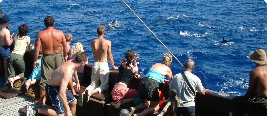 Madeira Pirate Ship: 3-Hour Boat Trip - Most Photographed Boat in Madeira