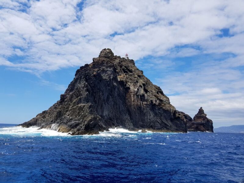 Madeira: Ponta de São Lourenço Lighthouse Boat Tour - The Experience of the Guides and the Views