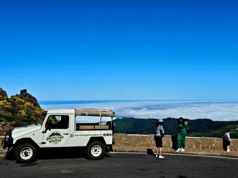 Madeira: Ponta de São Lourenço, Santana e Pico do Arieiro - How Does It Stack Up in Terms of Value?
