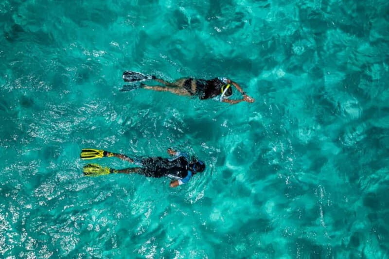 Madeira: Ponta de São Lourenço Snorkeling Boat trip - The Itinerary