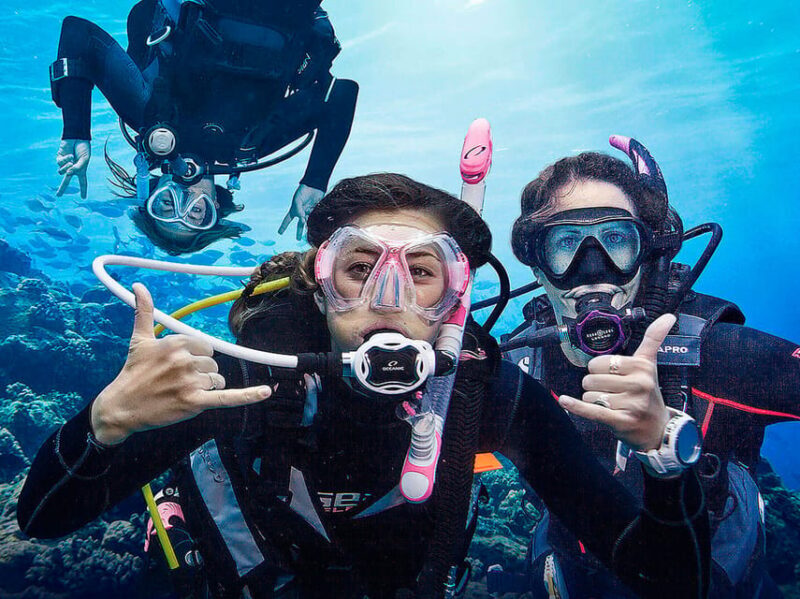 Madeira, Ponta São Lourenço: Scuba Diving for Beginners - Why This Tour Works for You
