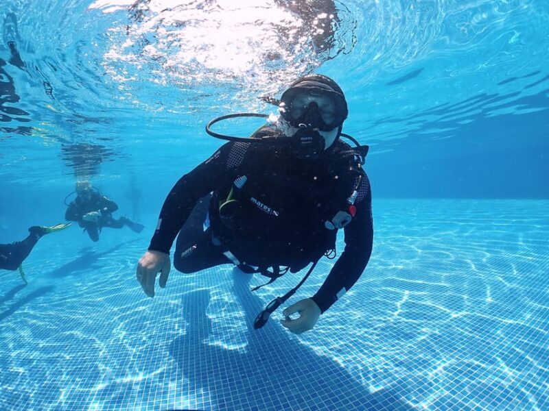 Madeira, Ponta São Lourenço: Scuba Diving for Beginners - Final Thoughts