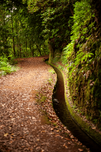 Madeira: PR 18 - Levada do Rei Hike Transfer - An Introduction to the PR 18 Levada do Rei Experience