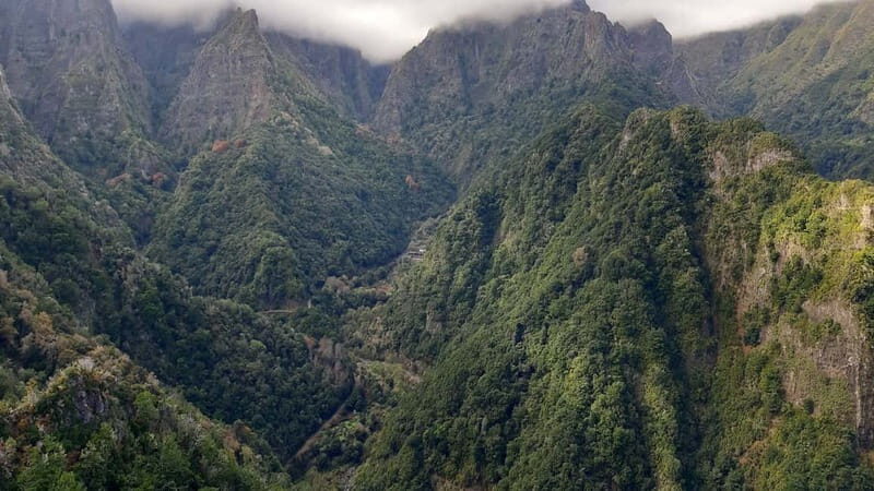 Madeira: Private 1.5-Kilometer Levada dos Balcões Hike PR11 - An In-Depth Look at the Madeira Levada dos Balcões Experience