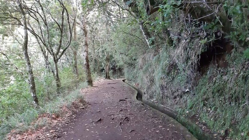 Madeira: Private 1.5-Kilometer Levada dos Balcões Hike PR11 - Authentic Feedback from Travelers