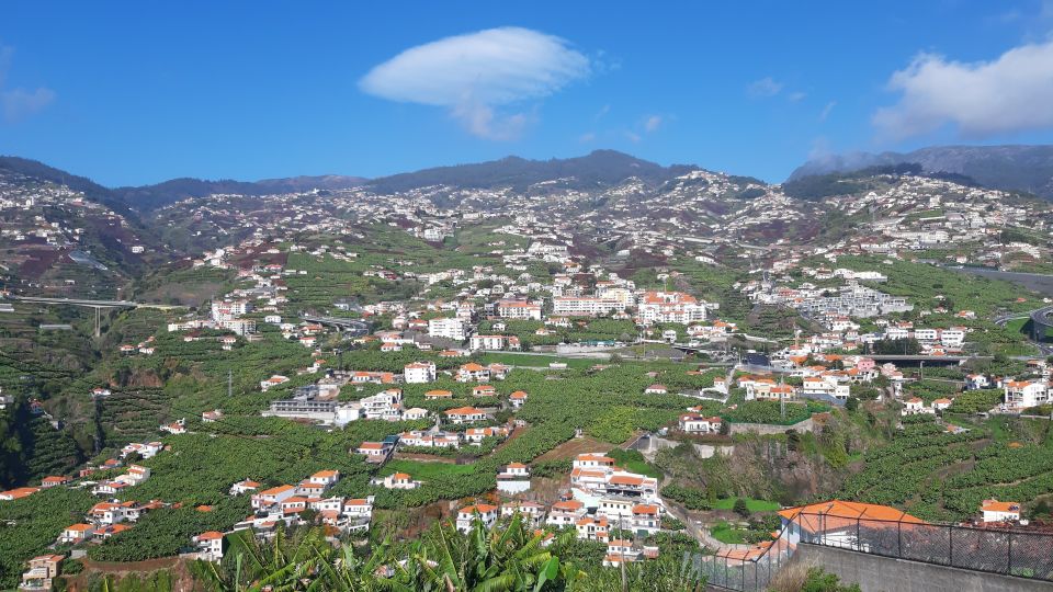 Madeira: Private Banana Farm Tour With Pickup - Frequently Asked Questions