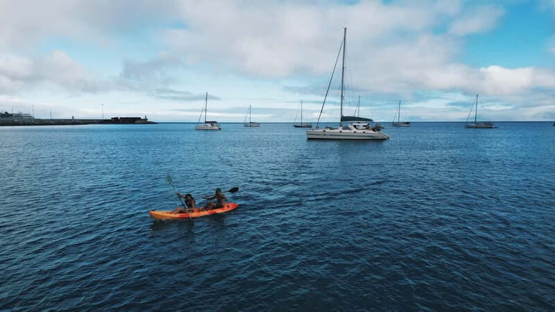 Madeira: Private Catamaran Tour with Snorkeling - A Closer Look at the Experience