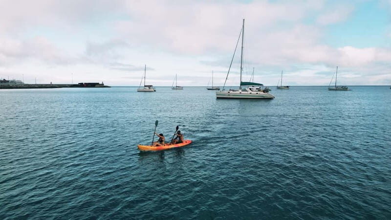 Madeira: Private Catamaran Tour with Snorkeling - Authentic Insights from Reviews