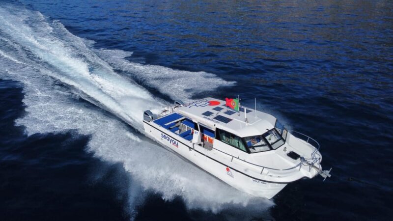 Madeira: Private Cruise to Calheta, Caniçal - Key Points
