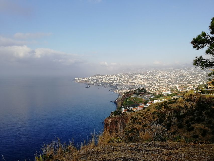 Madeira: Private Garajau Tour by Tukxi - Why Choose the Madeira Private Garajau Tour?