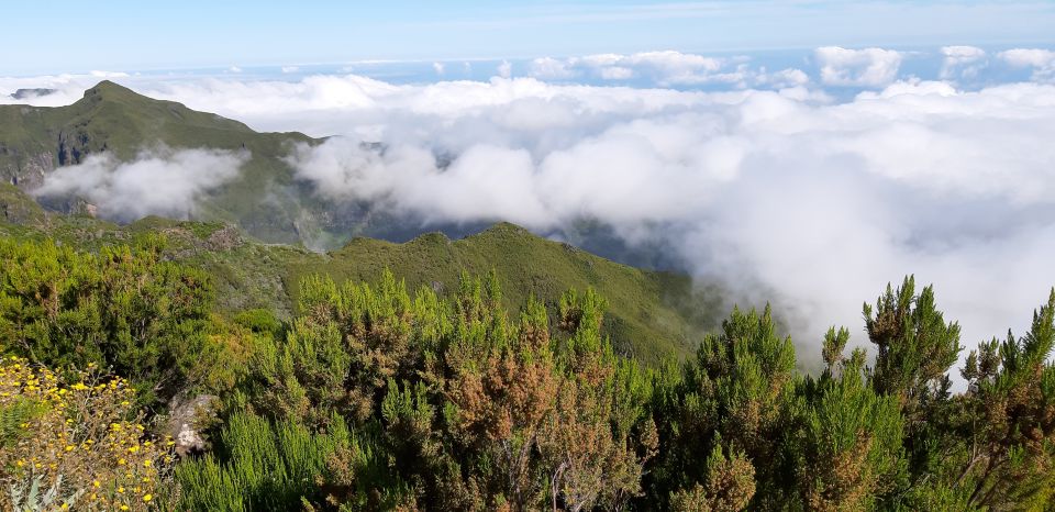 Madeira: Private Guided Achadas Teixeira - Pico Ruivo PR1.1 - Terrain and Landscape