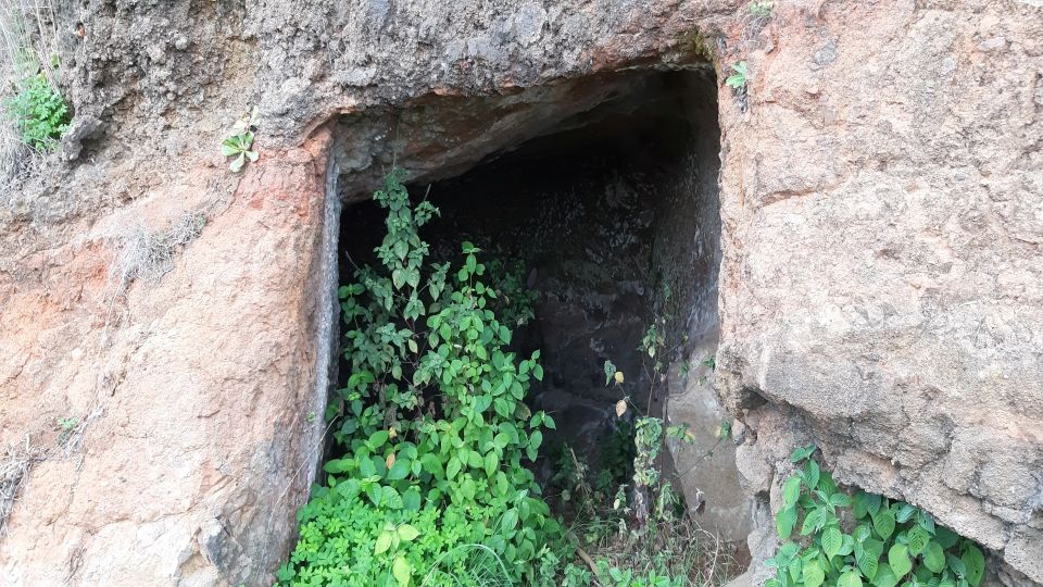 Madeira: Private Guided Levada Do Norte Walk - Inclusions and Exclusions