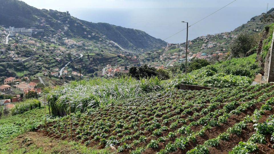 Madeira: Private Guided Levada Do Norte Walk - Important Information