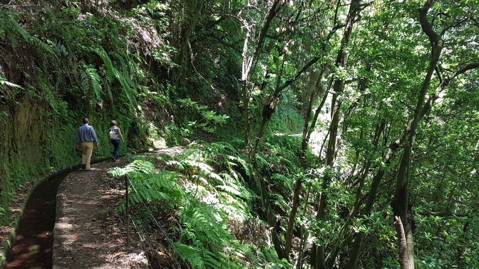 Madeira: Private Guided Levada Do Rei Walk PR18 - Key Points