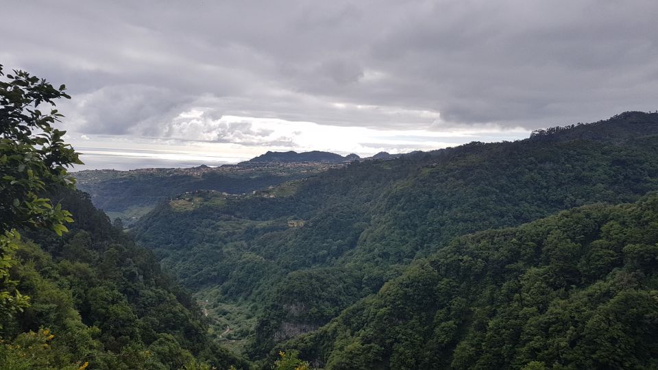 Madeira: Private Guided Levada Do Rei Walk PR18 - Highlights of the Levada Do Rei Walk