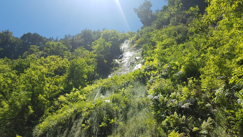 Madeira: Private Guided Levada Do Rei Walk PR18 - Private Guide and Transportation Services