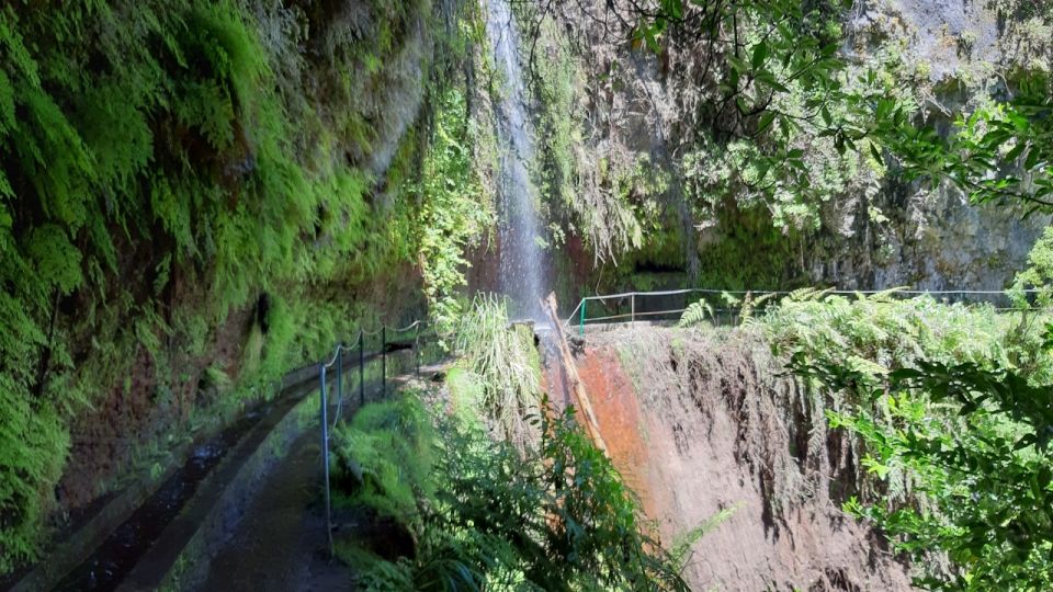 Madeira: Private Guided Levada Do Rei Walk PR18 - Whats Included and Whats Not