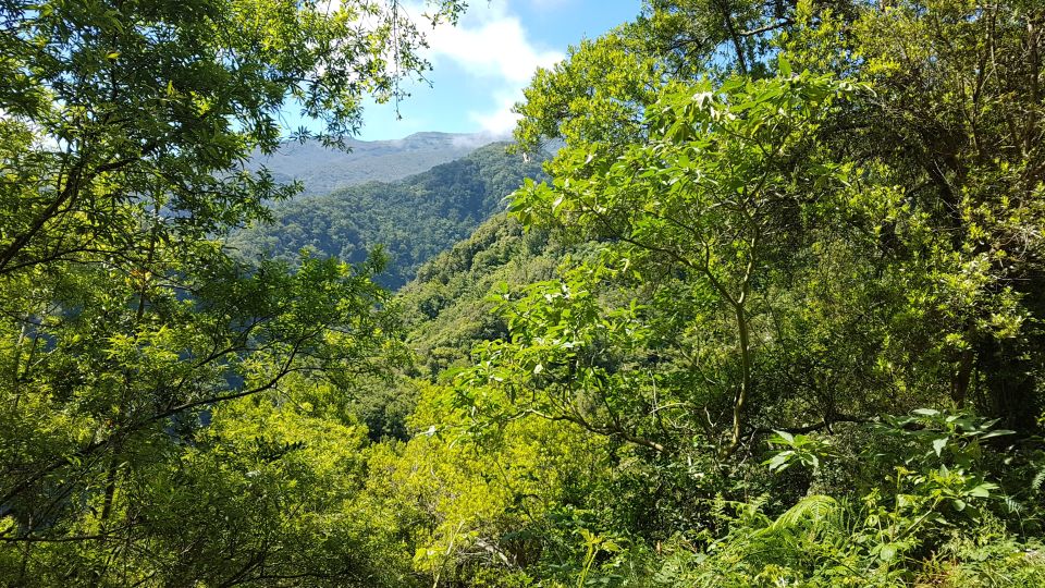 Madeira: Private Guided Levada Do Rei Walk PR18 - Preparation and Requirements