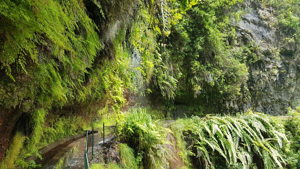 Madeira: Private Guided Levada Do Rei Walk PR18 - Frequently Asked Questions