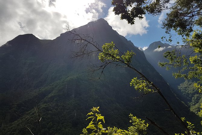 Madeira: Private Guided Levada Dos Tornos Boaventura Hike - Booking and Cancellation Policy