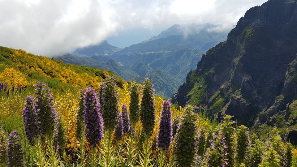 Madeira: Private Guided Pico Areeiro to Pico Ruivo Hike PR1 - Guided Tour Experience