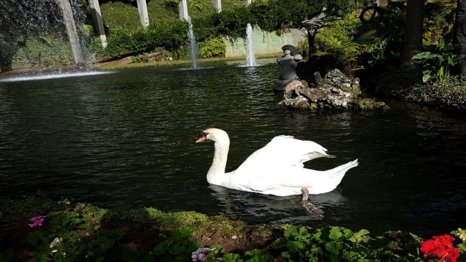 Madeira: Private Half-Day Guided Gardens Tour - Locations Visited