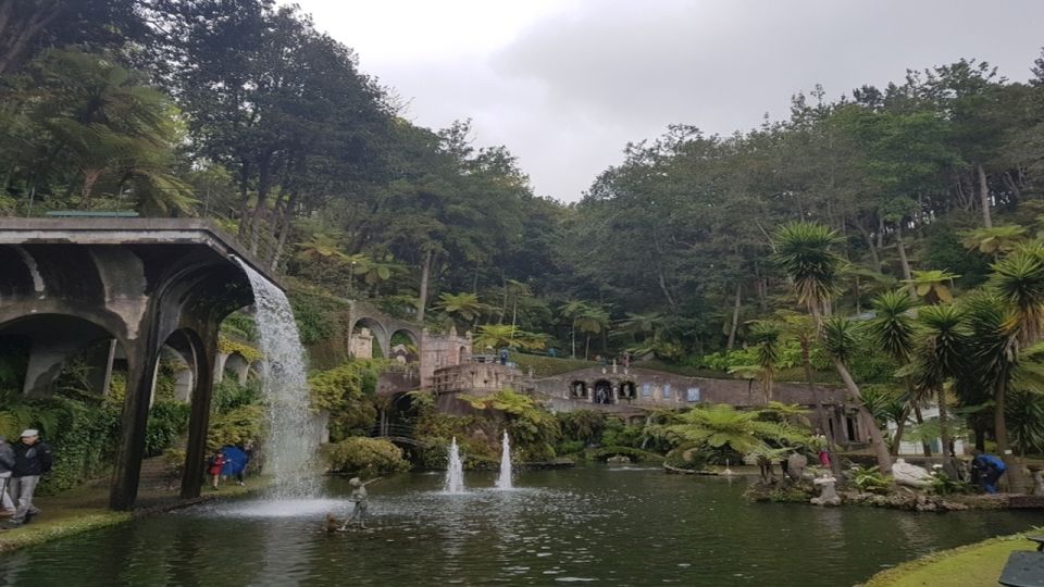 Madeira: Private Half-Day Guided Gardens Tour - Tour Highlights