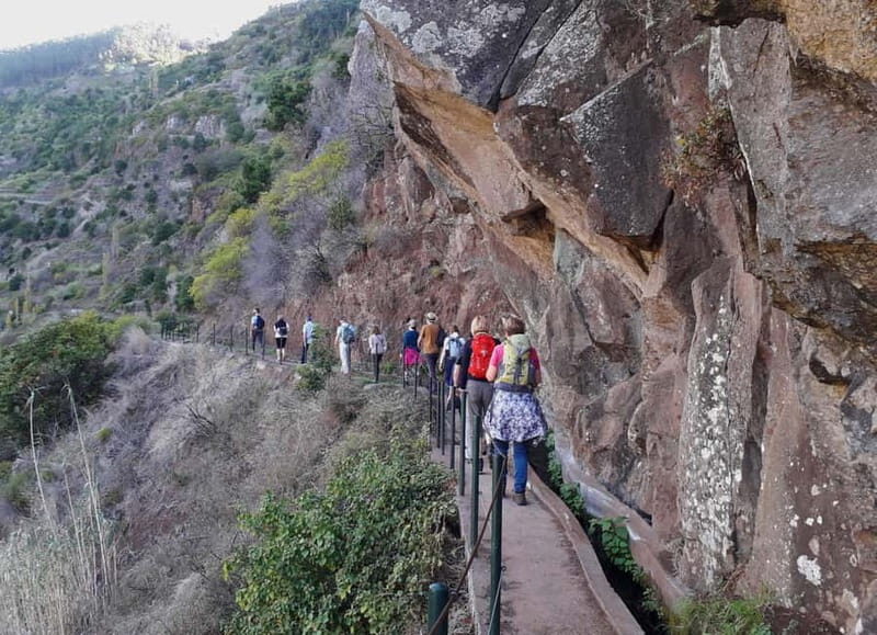 Madeira: Private Half-Day Walking and 4x4 off-road Tour - Key Points