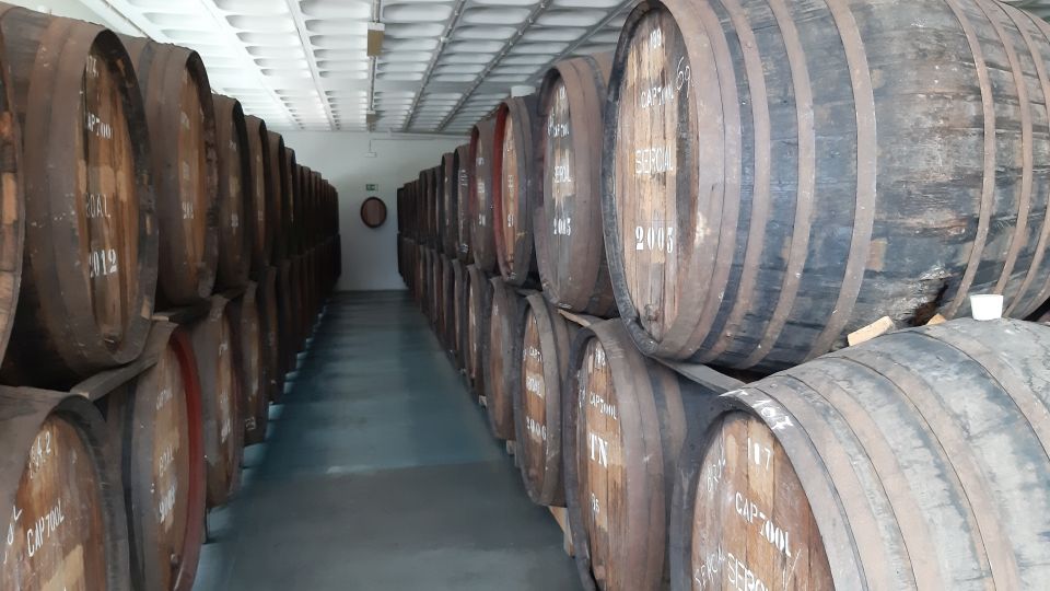 Madeira: Private Half-Day Wine Tasting Tour - Customer Reviews