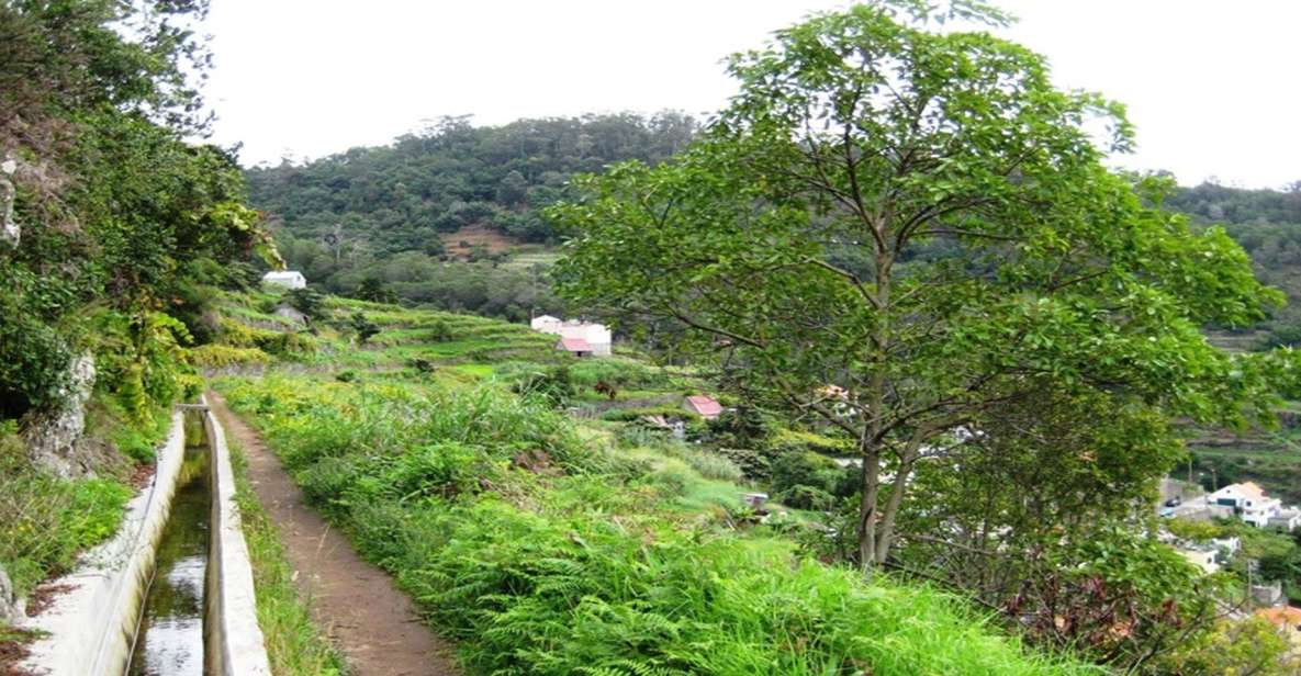 Madeira: Private Hike From Levada Do Canical to Machico - Key Points