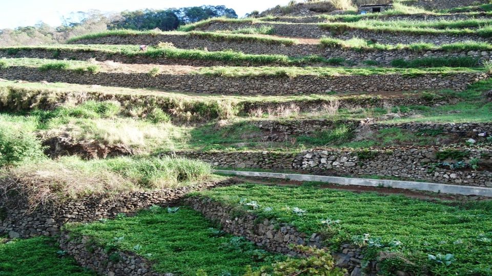 Madeira: Private Hike From Levada Do Canical to Machico - Pickup Locations and Transportation