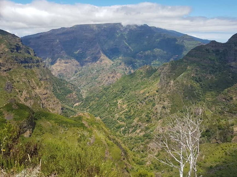 Madeira: Private Laurisilva Tour - Key Points