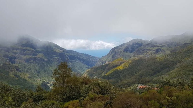 Madeira: Private Laurisilva Tour - Frequently Asked Questions