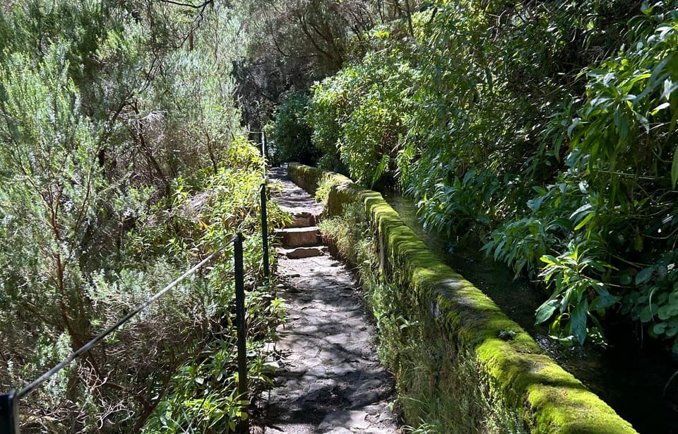 Madeira: Private Levada/Hike Experience with a Local Guide - Exploring Madeira’s Natural Beauty on Your Terms  