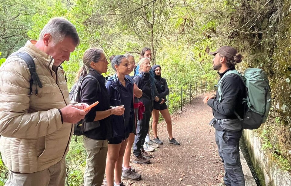 Madeira: Private Levada/Hike Experience with a Local Guide - Final Thoughts  