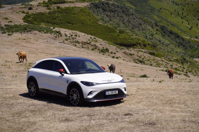 Madeira Private Premium Eco-Friendly Tour in Electric Car - What’s Included, and What’s Not