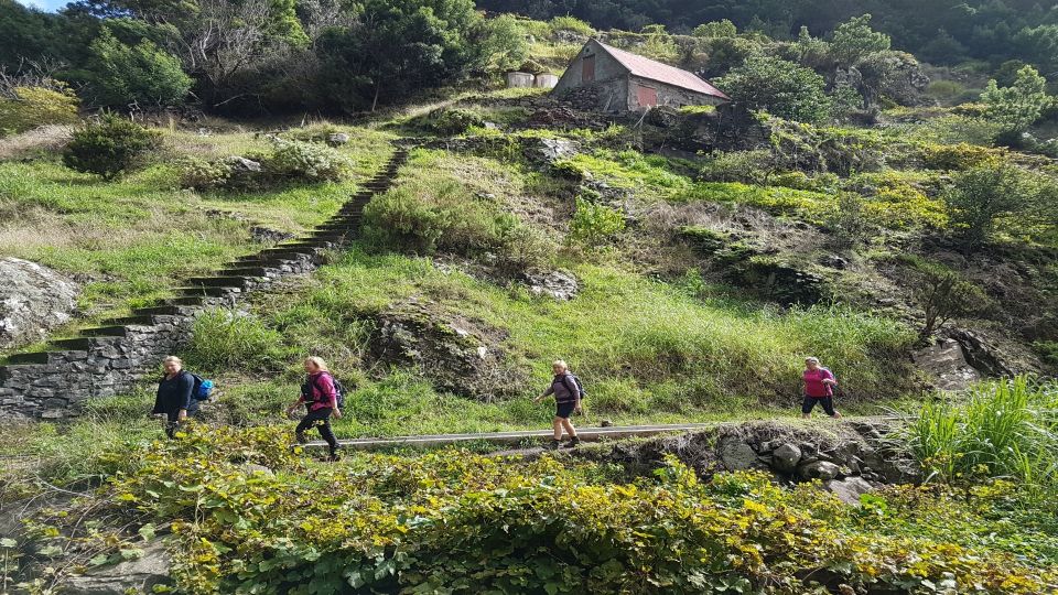 Madeira: Private Vereda Do Larano Hike - Booking Details