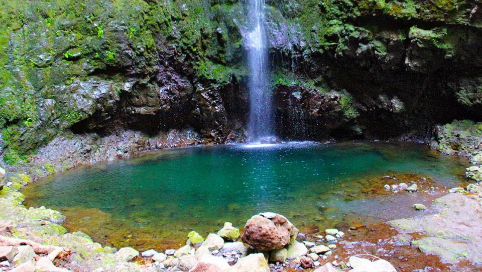 Madeira: Queimadas, Caldeirao Verde, and Levada Walk - Marveling at the Caldeirão Verde Waterfall