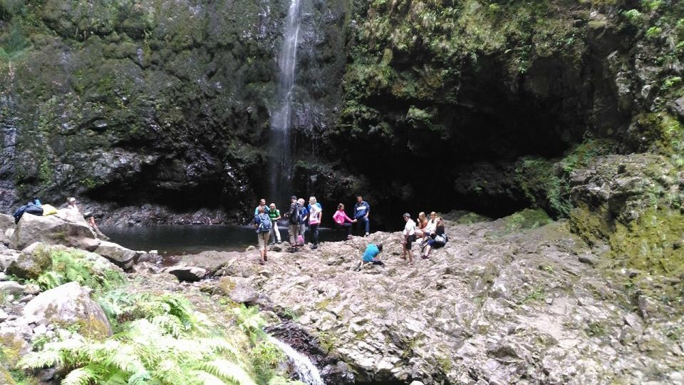 Madeira: Queimadas, Caldeirao Verde, and Levada Walk - Highlights of the Walking Tour