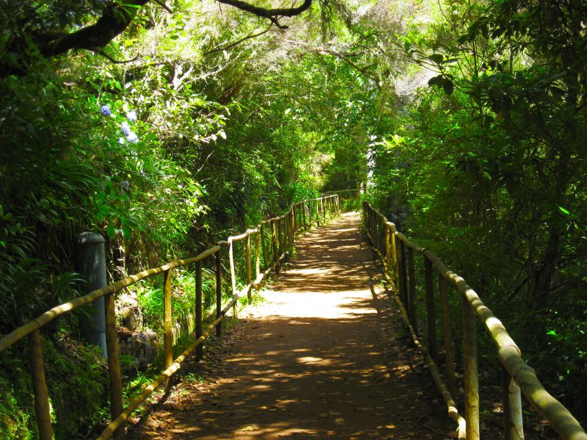 Madeira: Queimadas, Caldeirao Verde, and Levada Walk - Inclusions and Pickup Details