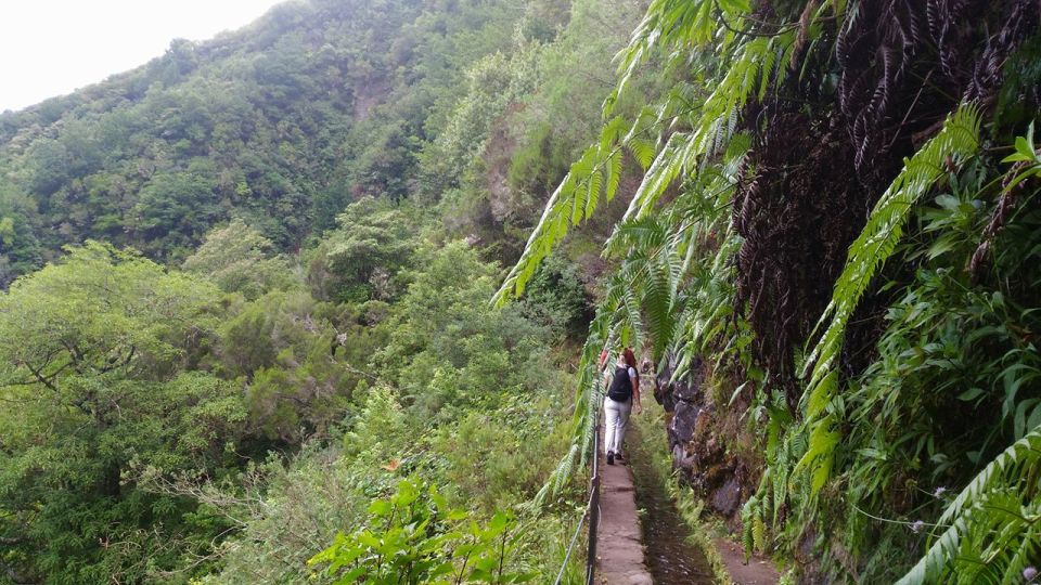 Madeira: Queimadas, Caldeirao Verde, and Levada Walk - Frequently Asked Questions