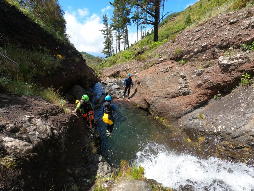 Madeira: Ribeira Das Cales Canyoning (Level 1) - Excluded From Tour
