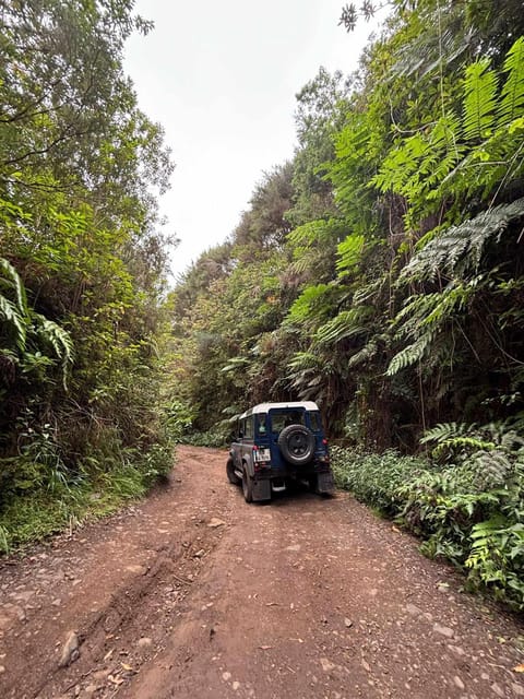 Madeira: Santana; Discover the enchanting East: Duration 7,5h - A Full Breakdown of the Madeira East Coast Jeep Tour