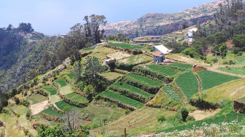 Madeira: Santana Jeep Safari and Balções Levada Walk - The Sum Up