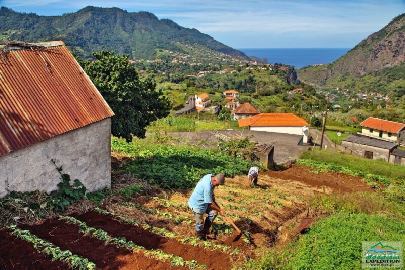 Madeira: Santana Jeep Safari and Balções Levada Walk - The Sum Up