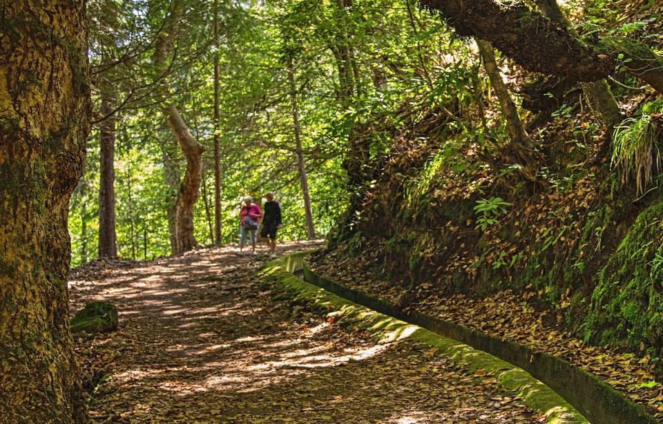 Madeira: Santana Jeep Safari and Levada Tour - Frequently Asked Questions