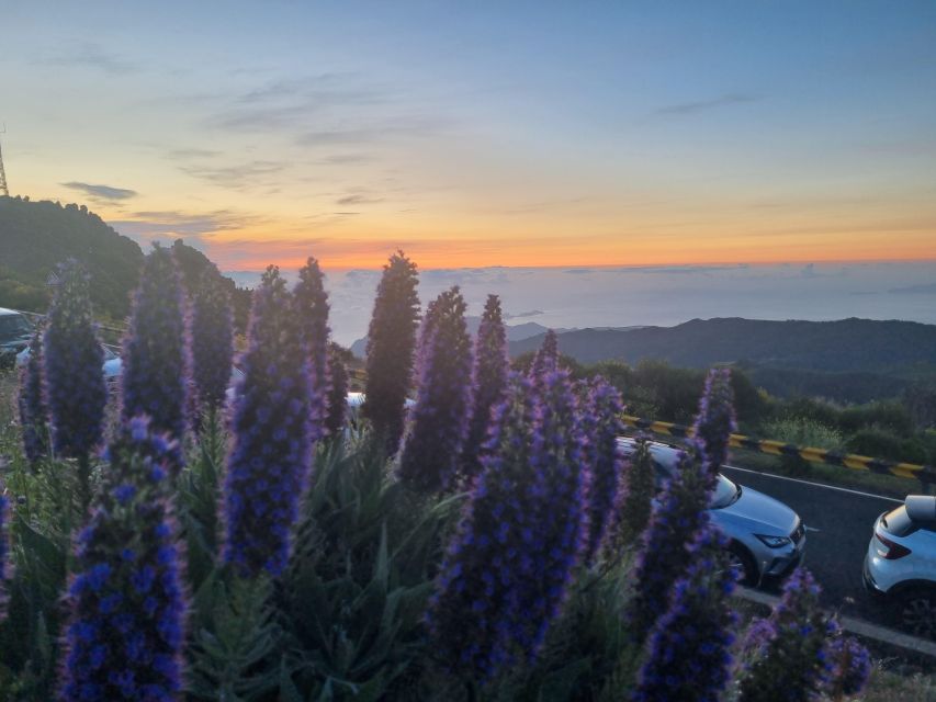 Madeira : Santana, Pico Arieiro, Walk Full Day 4x4 Jeep Tour - Frequently Asked Questions