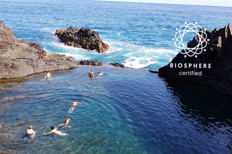 Madeira: Skywalk, Porto Moniz, Seixal, and Fanal 4WD Tour - Key Points