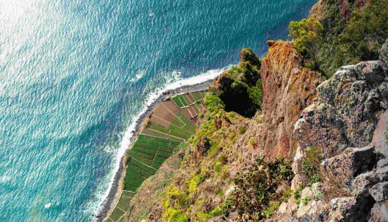 Madeira South Tour: Cabo Girão, Waterfalls for Cruise Ship - Exploring Madeira’s South Coast: A Practical Review of the Heartbeat Madeira Tour